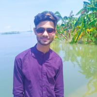 Rohan Islam Alamin