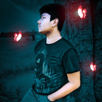 op Tanzim