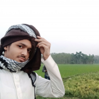 aman bin saif