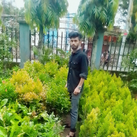 nuralam015