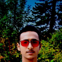 ALvi ARi
