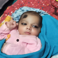 mstasifakhatun740