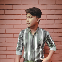 Mir Shohid