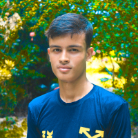 A.R.Nipu