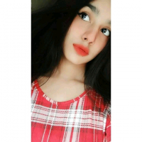 TS SAYFUL YT
