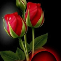 jhantu majumder