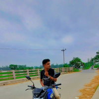 01303394195