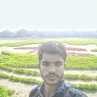 md shojol