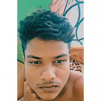 molliktariqulislam