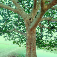 md.shahidul islan