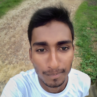 Md Torikul Islam