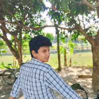 rashedmehedi02@gmail.com