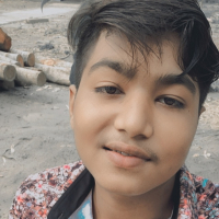 Roil Sajib