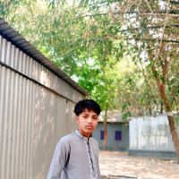 zakir hosain