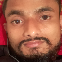 01303316178