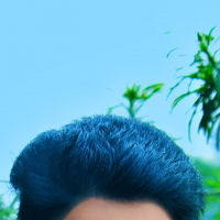 Dipro dey