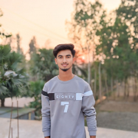 Md Akaeid Sorkar