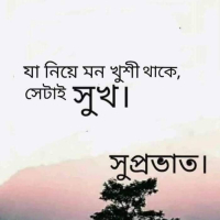md rashed sk