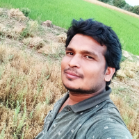 bashir73