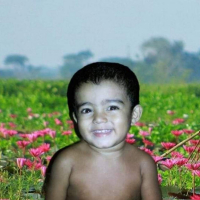 bachhu