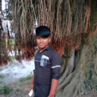 polash roy nayan