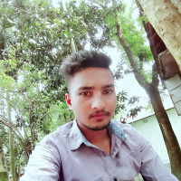 Md.Ariful islam raju