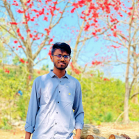 ovejit basak