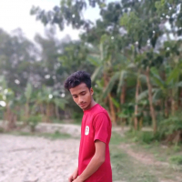 MD rajonpaik346@gm