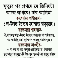 Al🌷amin