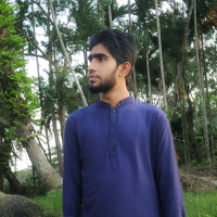 mdimamh947@gmail.com
