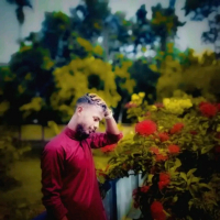 হাফেজ হুসাইন আহমদ