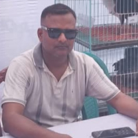 smithanowar