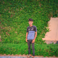 F F MEHEDI..