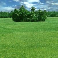 mhossainzihadi@gmail.com
