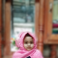 ফয়জুল ইসলাম