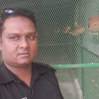 md shahajan Ali