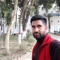Md Salahauddin