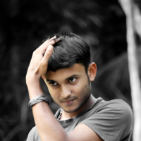 DL palash