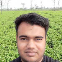 ashiqur rahman akash