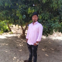 8801767041512