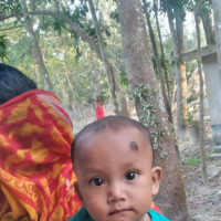 bikash deb