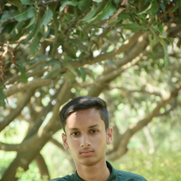 Dreamingbalok