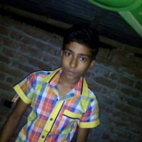 Polien raza