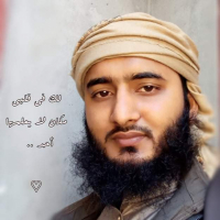 sakhawat ibne Amin