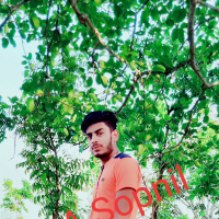 S A Sopnil