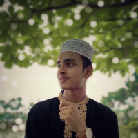 salahuddin mehmed