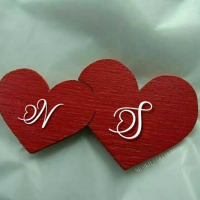 nayonroy133@gmail.com