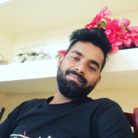 sonjet