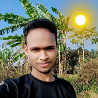 Md Ibrahim Khølil Møjahid