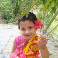 Anawar Islam